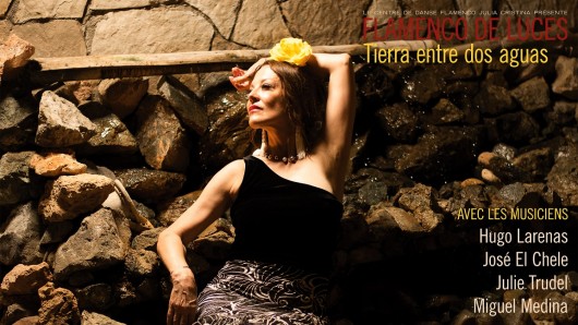 flamenco 12 juin-ok